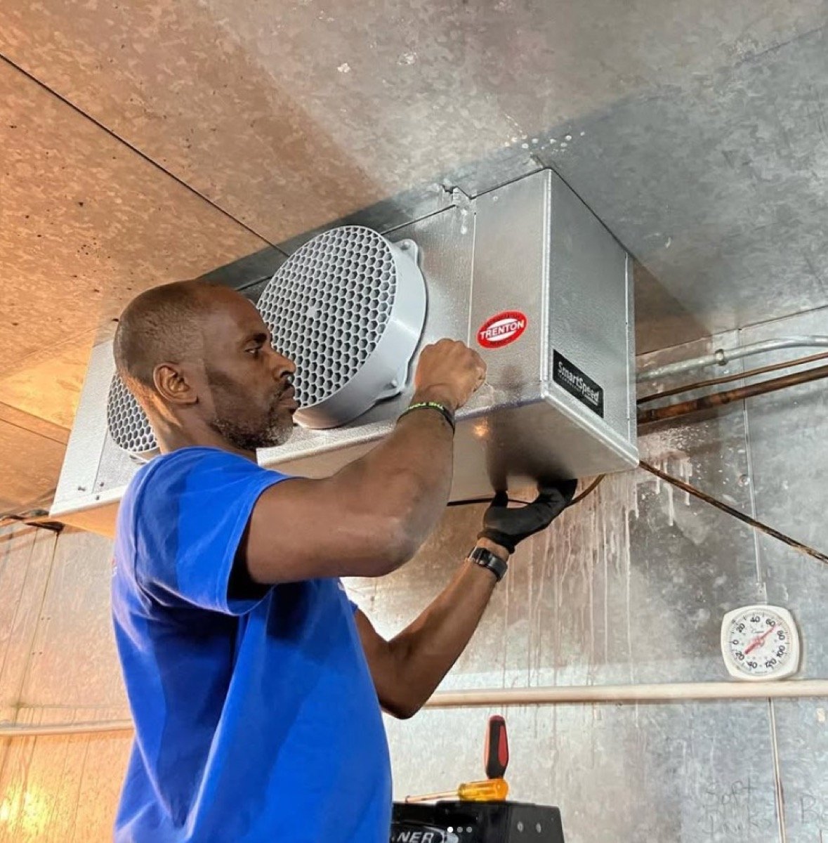 Technician servicing a Trenton evaporator unit inside a walk-in cooler